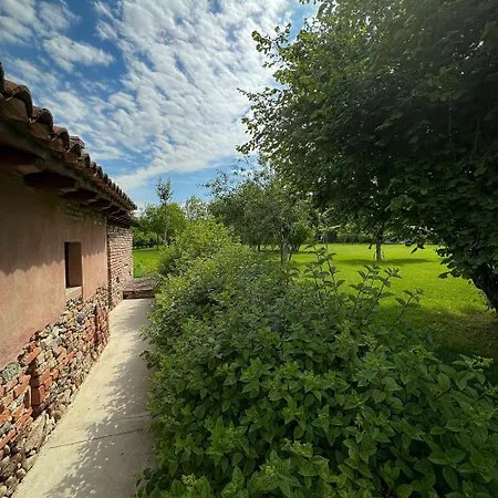 Conta * Piazzola sul Brenta